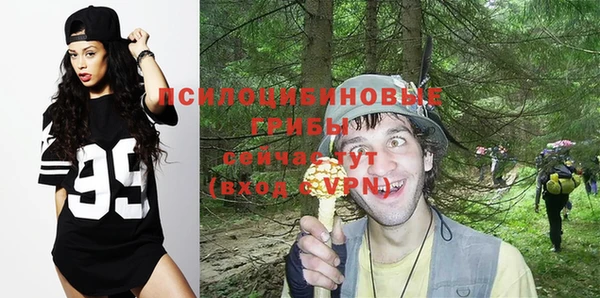 хмурый Абинск